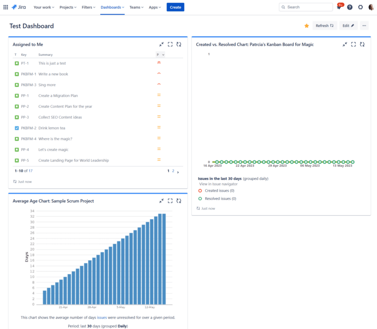 What is a Jira Dashboard? - Actonic – Unfolding your potential